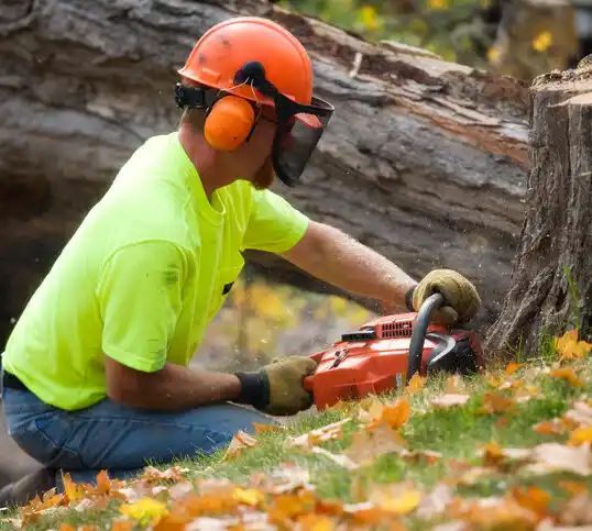 tree services Moreauville